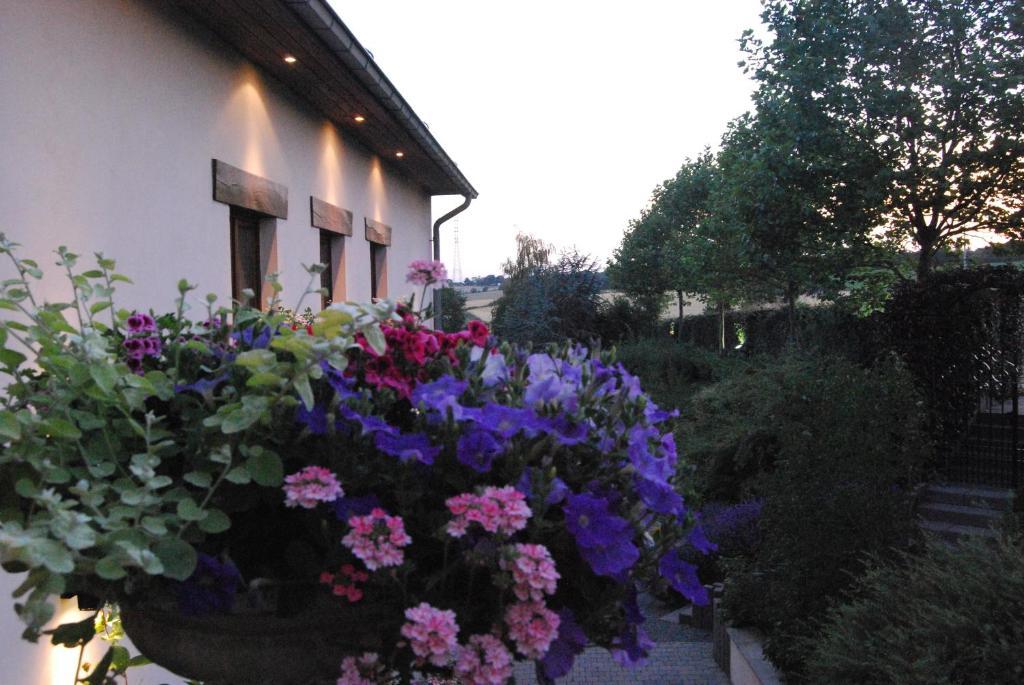 Hostellerie Gilain Achene Экстерьер фото