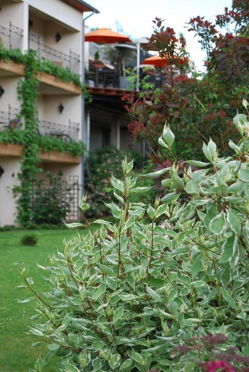 Hostellerie Gilain Achene Экстерьер фото